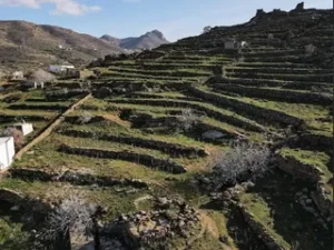 1800sqm Land in Tinos