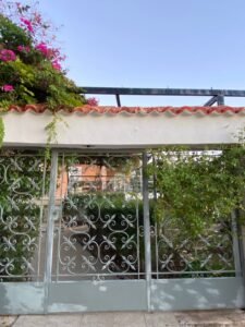 whatsapp image 2025 12 24 at 11.18.53 (2)