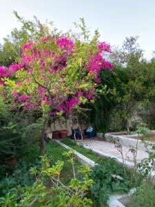 whatsapp image 2025 12 24 at 11.18.54 (3)